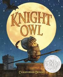 Knight Owl book